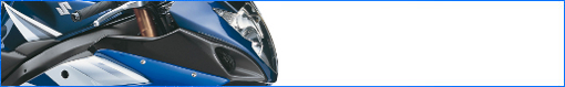 Suzuki GSX-R 1000 05-06