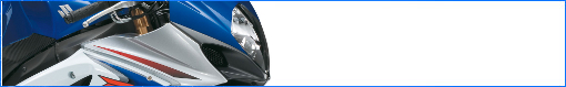 Suzuki GSX-R 1000 07-08