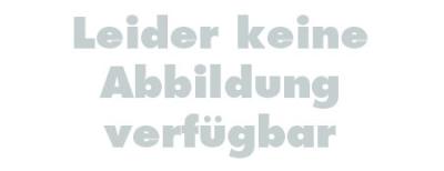 RD-Moto Sturzbügel silber für BMW R1150 R 2001 - 2006
