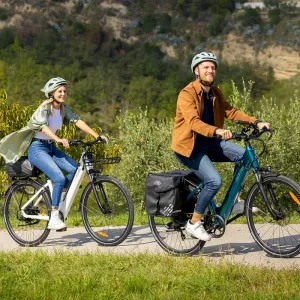 Preview: Fiido C11 Leichtes Urban E-Bike