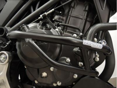 RD-Moto Sturzbügel schwarz für Honda CB 300 R 2018+