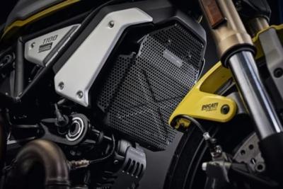 Preview: Evotech Performance Ölkühlerschutz für Ducati Scrambler 1100 Dark Pro 2021+