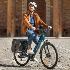 Fiido C11 Pro Lightweight Urban E-Bike