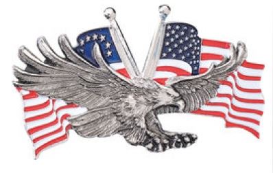  Adler mit US Flagge 
