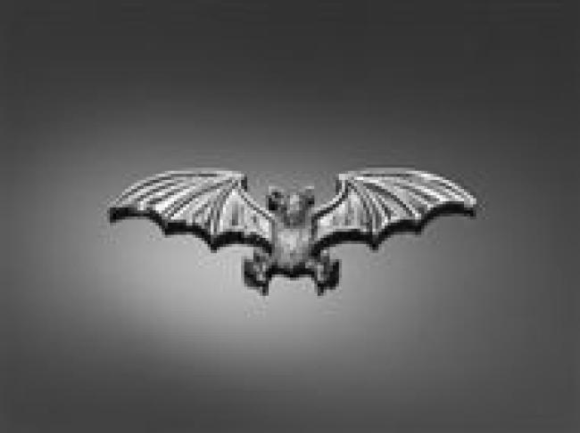 Emblem Fledermaus