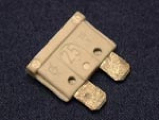 Stecksicherung 25A