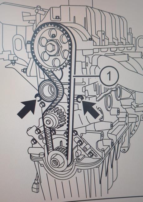 TORQUE BELT BOOM Mustang 1,6l Automatik - Kopie