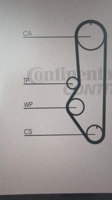 TORQUE BELT BOOM Mustang 1,6l Automatik - Kopie