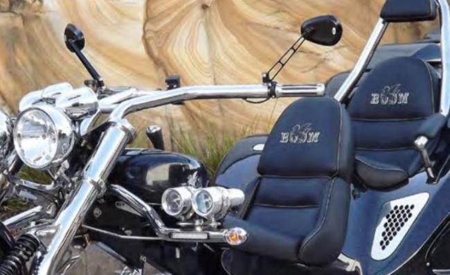 BOOM Trike Spiegel "Design" mit 250m Spiegelarm