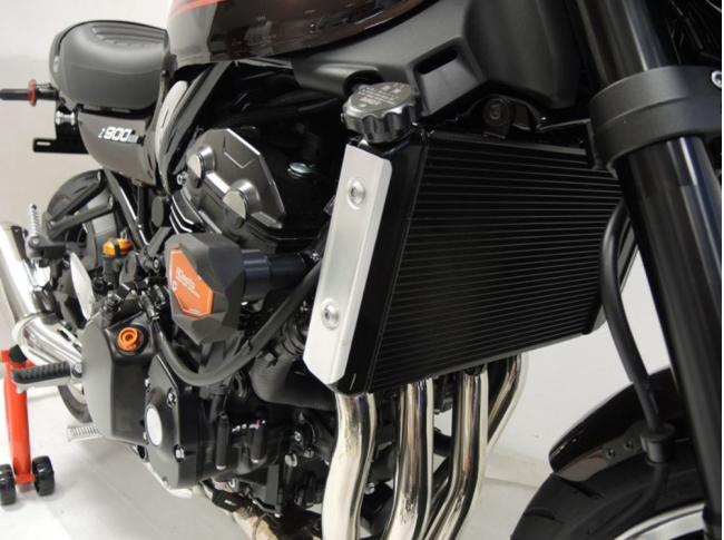 RD-Moto Crashpad für Kawasaki Z900 RS 2018+