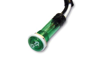 Kontrolleuchte Blinker, grün
